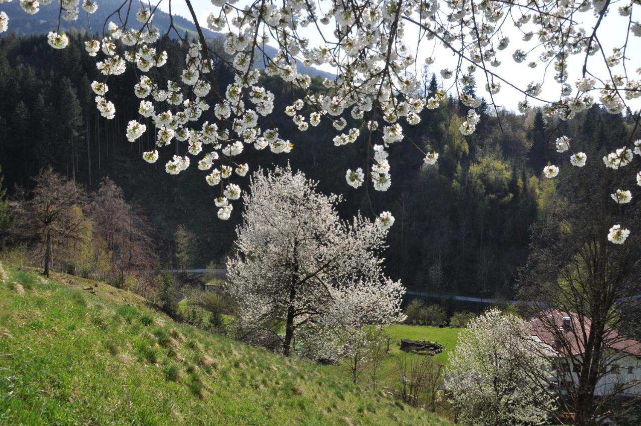 Gaestehaus Pension Edelweiss Kolsass 部屋 写真